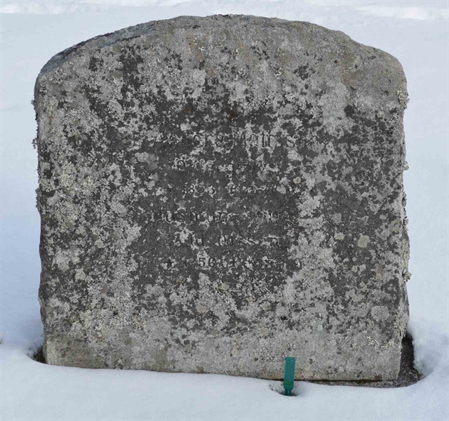 Gravnummer: 1 NE    85