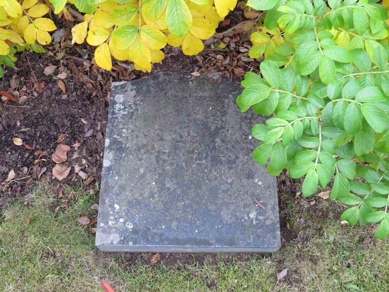 Gravnummer: 3 D     8