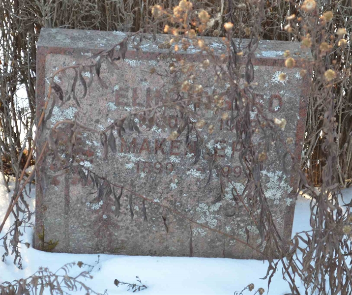 Gravnummer: 1 MB   313