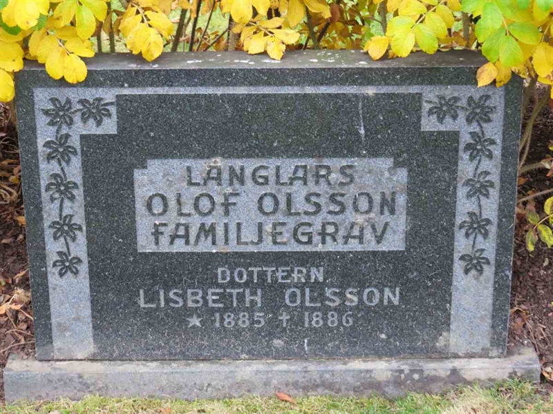 Gravnummer: 3 D    10