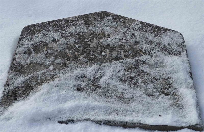 Gravnummer: 1 NE    77