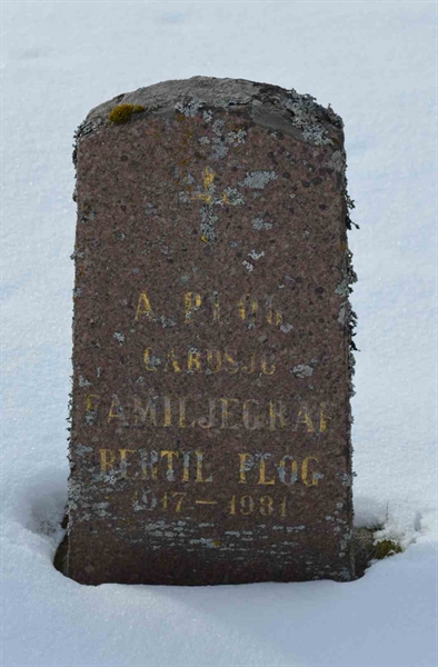 Hautatunnus: 1 NE    67