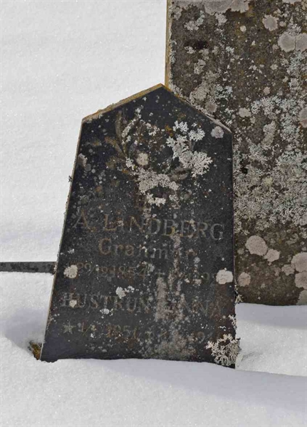 Gravnummer: 1 NE    40