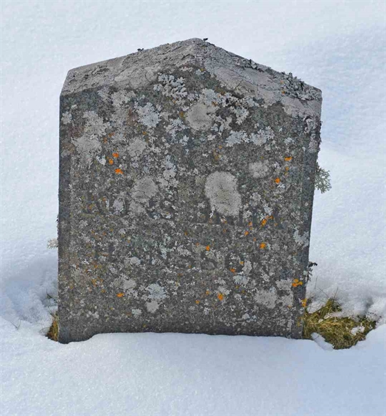 Gravnummer: 1 NE    80