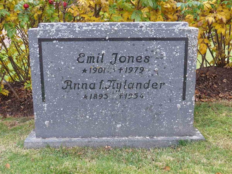 Gravnummer: 3 D    16