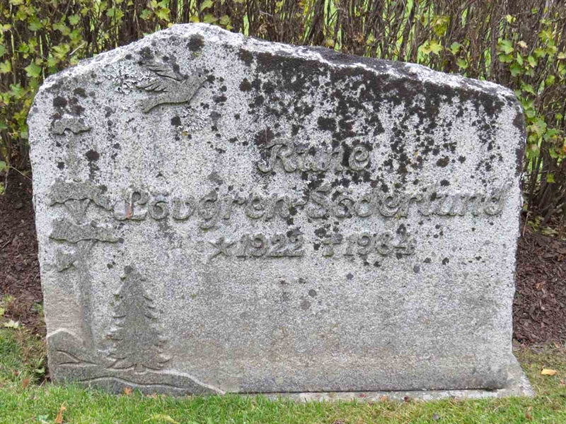 Gravnummer: 3 H    27