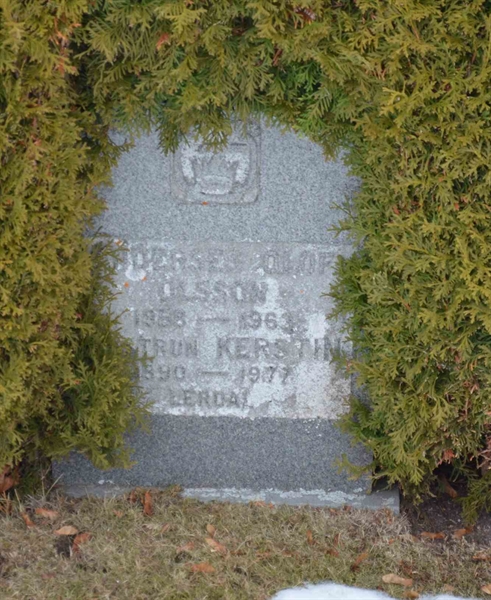 Gravnummer: 1 ÖL   209