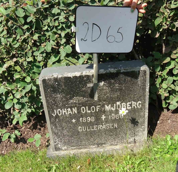 Gravnummer: 2 D    65