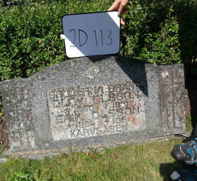 Gravnummer: 2 D   113