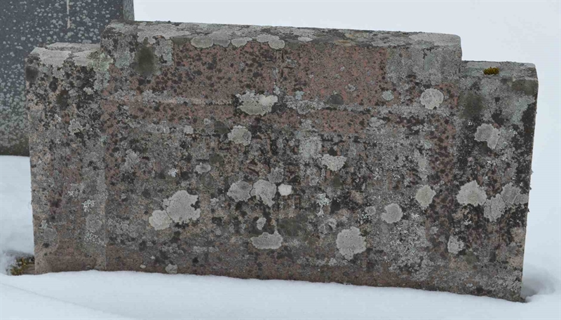 Hautatunnus: 1 SC    62