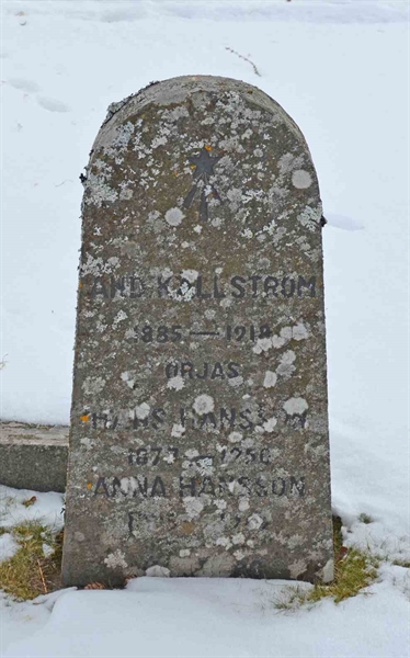 Hautatunnus: 1 SC    82