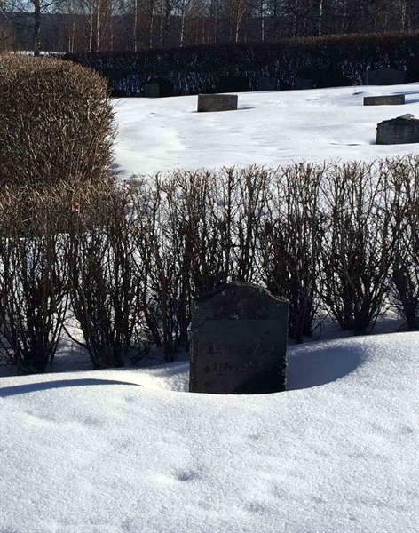 Gravnummer: 5 Ö A    42