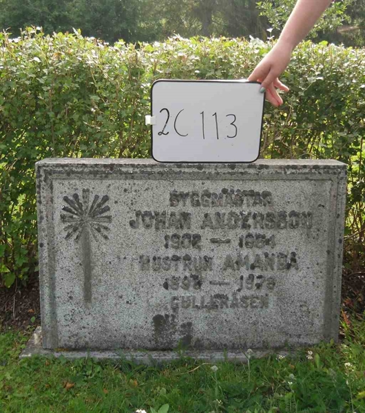 Gravnummer: 2 C   113