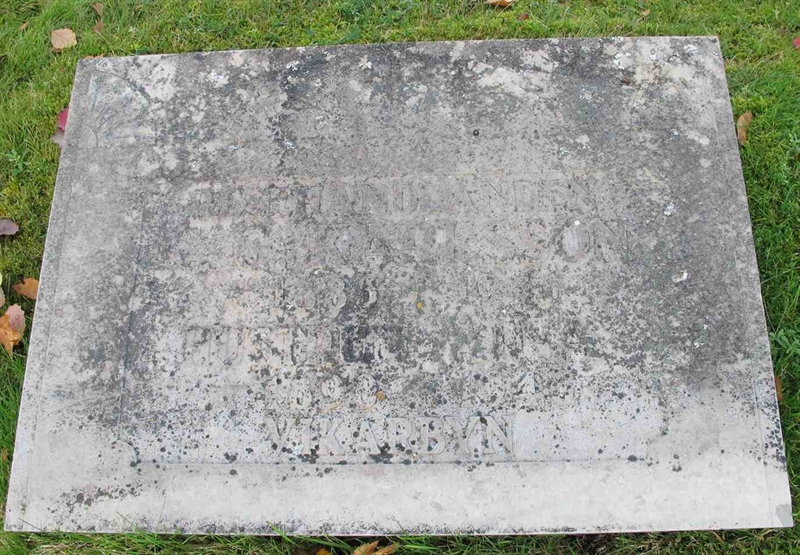 Hautatunnus: 1 SC   131