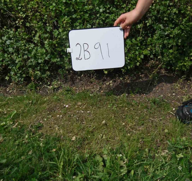 Gravnummer: 2 B    91