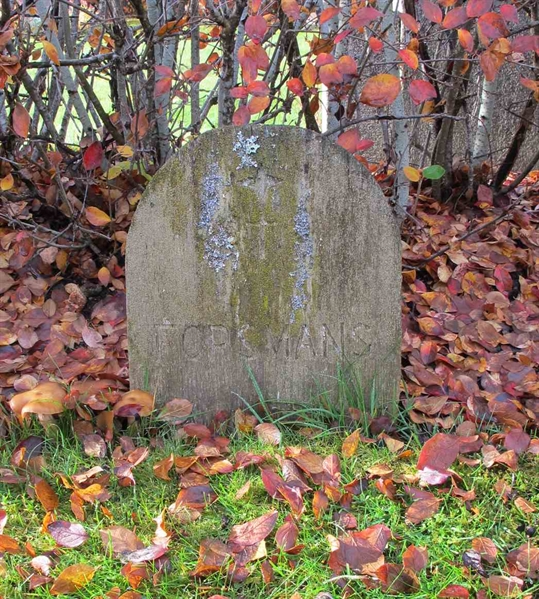 Gravnummer: 1 SE     7