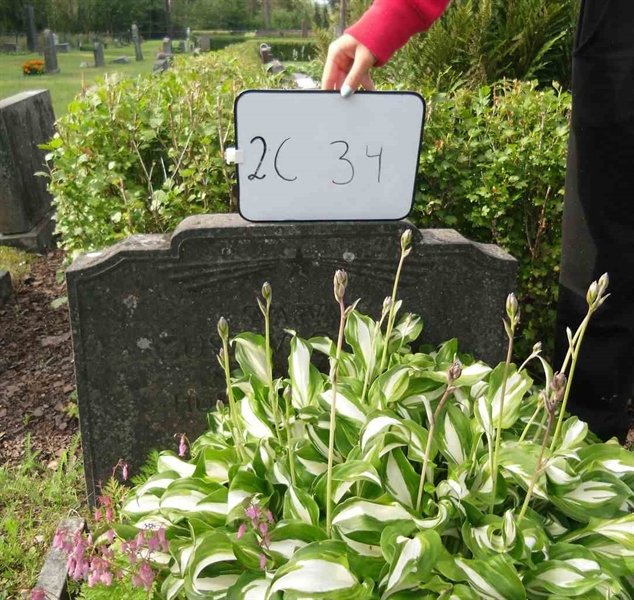 Gravnummer: 2 C    34