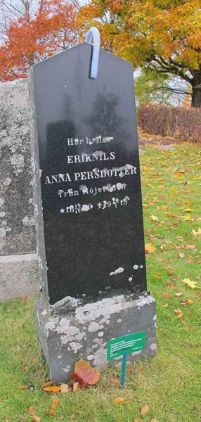 Gravnummer: 1 SF    24