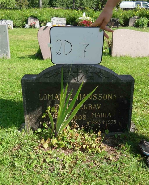 Gravnummer: 2 D     7