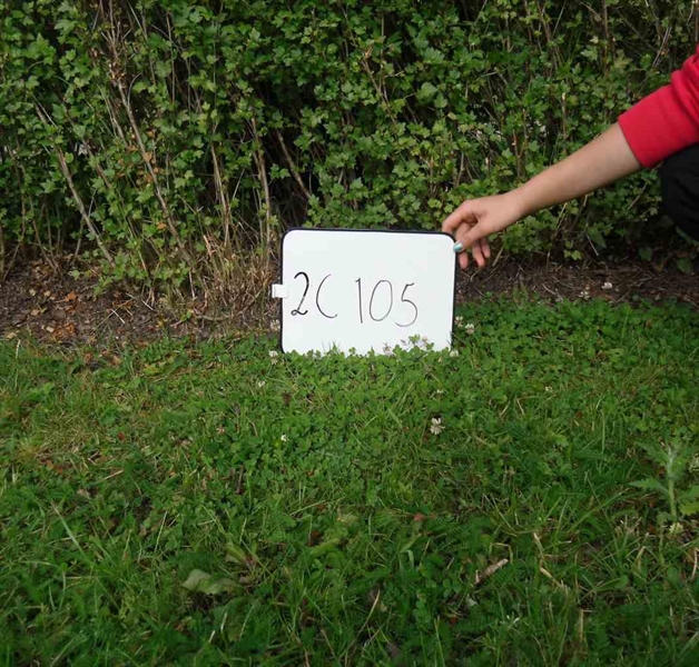 Gravnummer: 2 C   105