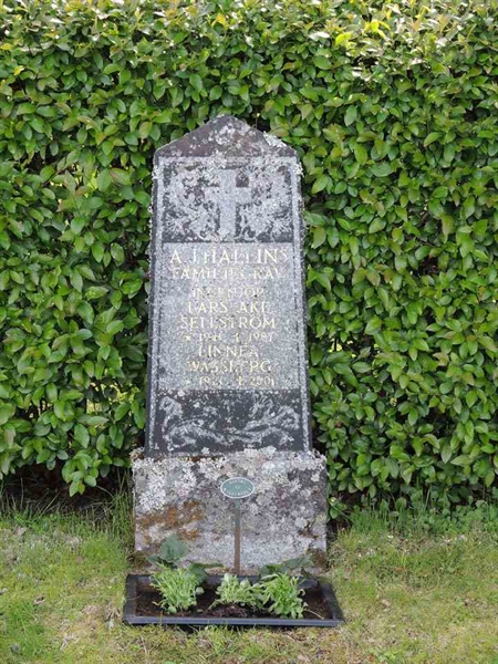 Gravnummer: 5 Ö A     1