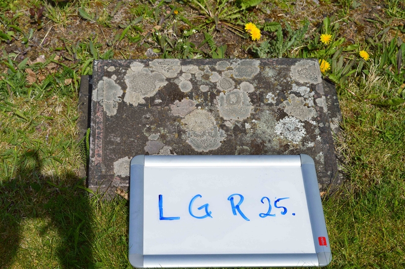 Grave number: LG R    25