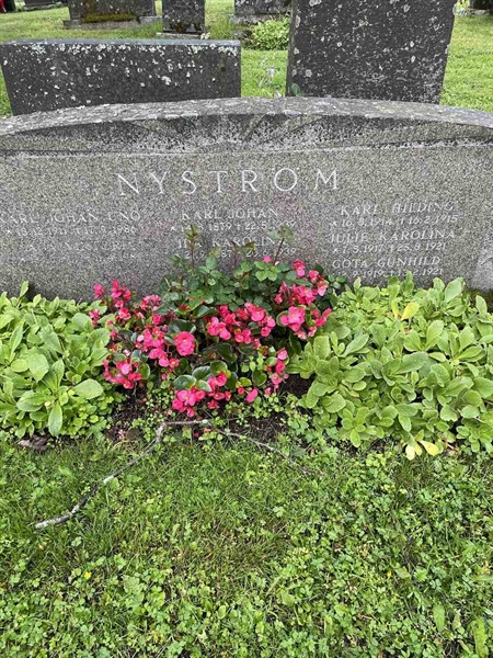 Gravnummer: N 4 3   367