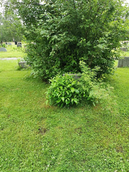 Hautatunnus: NK 12     1