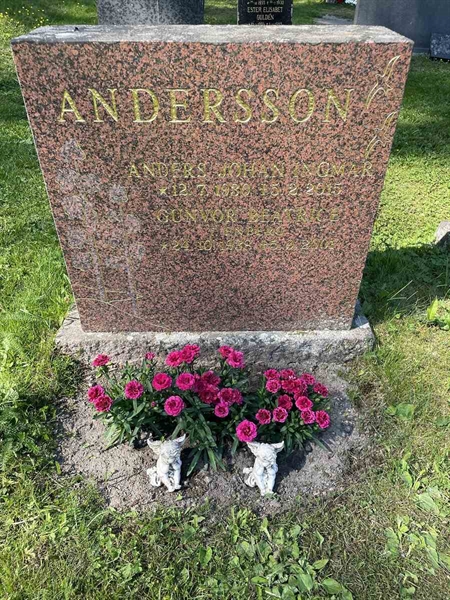 Grave number: N 5 2   209