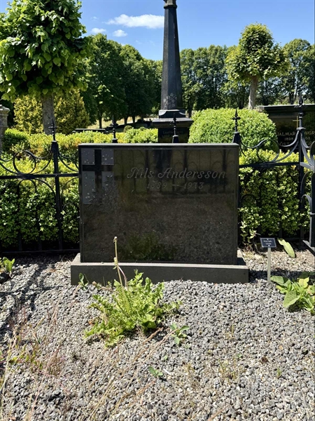 Grave number: TR 4 1   105