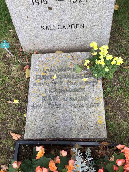 Hautatunnus: Led    76-78