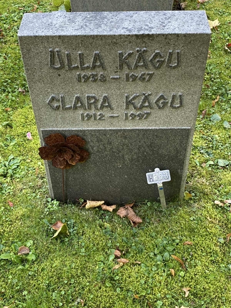 Grave number: 1 H   363