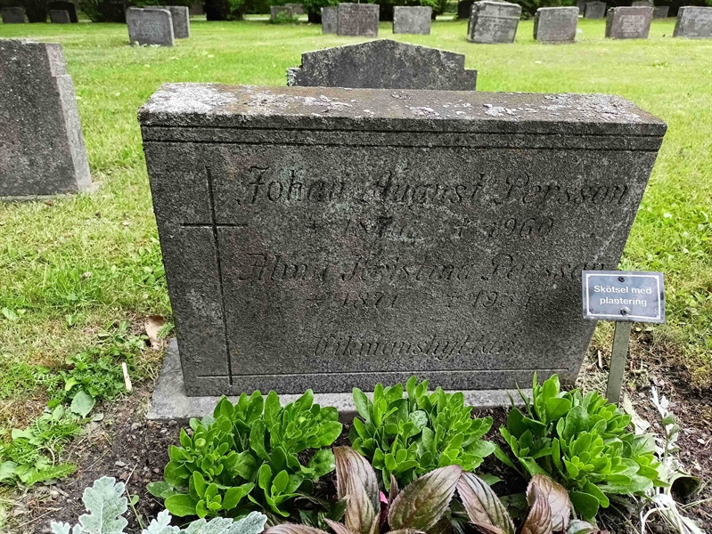 Gravnummer: 1 Ö 31   186V