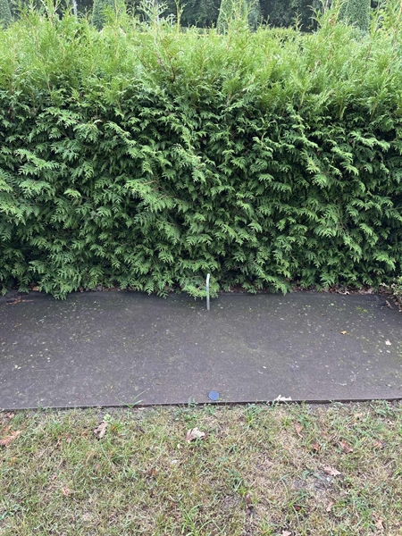 Grave number: NK XIV    42