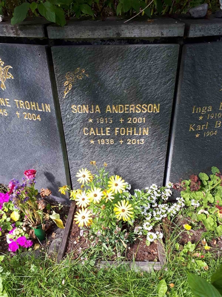 Gravnummer: GK U 4   341