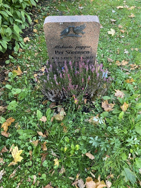 Hautatunnus: 1 H   459