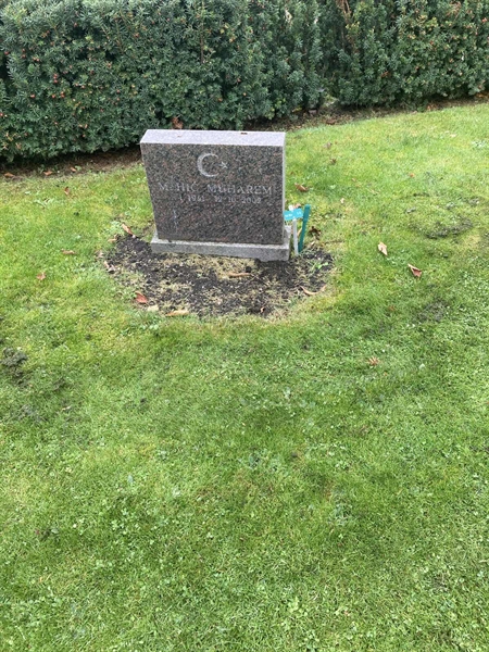 Hautatunnus: 1 3 M/Be    14