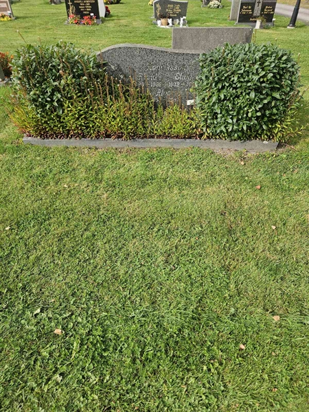 Grave number: Fr 8   431-433