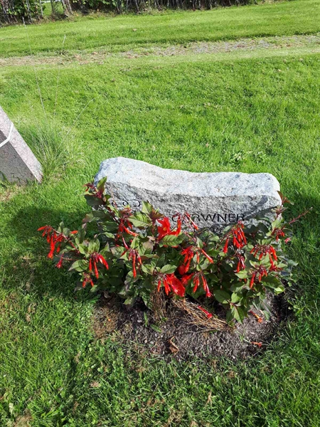 Hautatunnus: NK F B   785