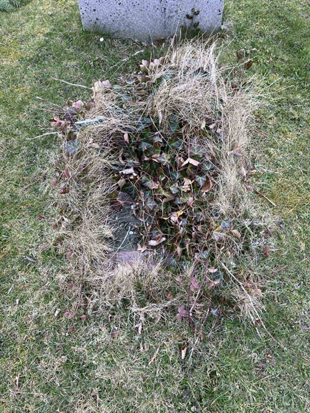 Hautatunnus: R 01 323