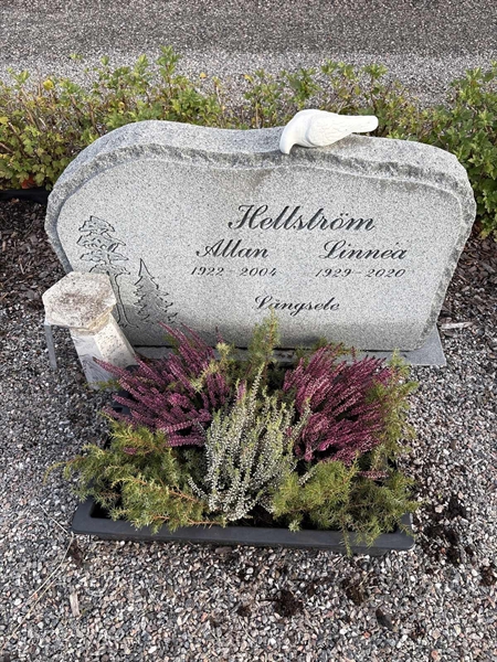 Grave number: 4 N ND   330