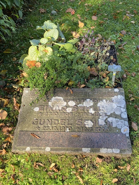 Hautatunnus: 1 H   373