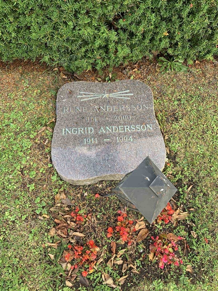 Grave number: NK I:u   246