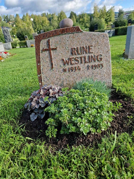 Grave number: 1 01U    11