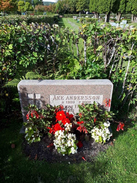 Hautatunnus: NK F B   169