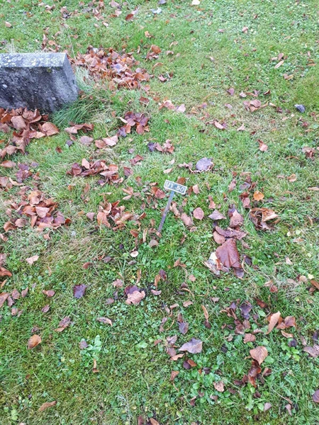 Grave number: GK U 1    50