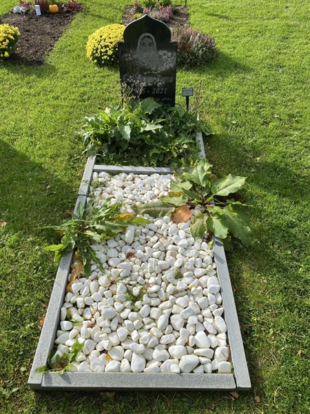 Hautatunnus: 2 G    61