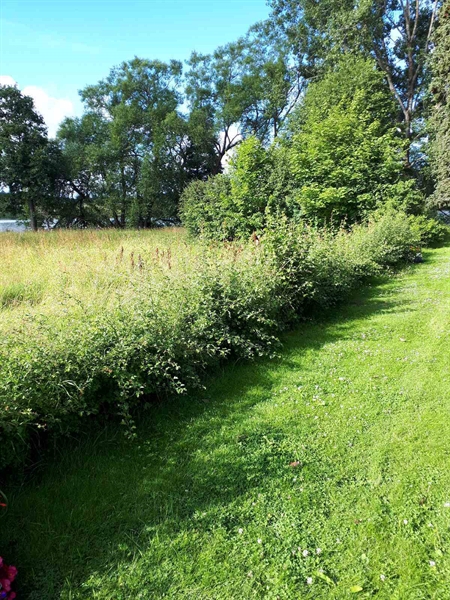 Hautatunnus: GK F 5   526C