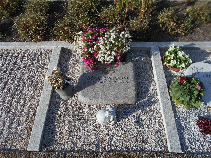 Grave number: HK C1     6