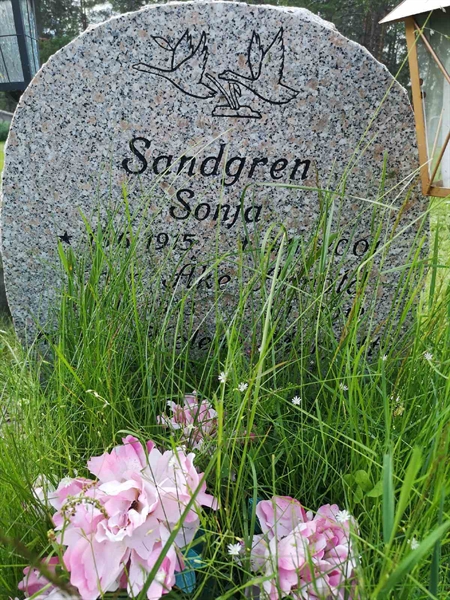 Hautatunnus: PK   437